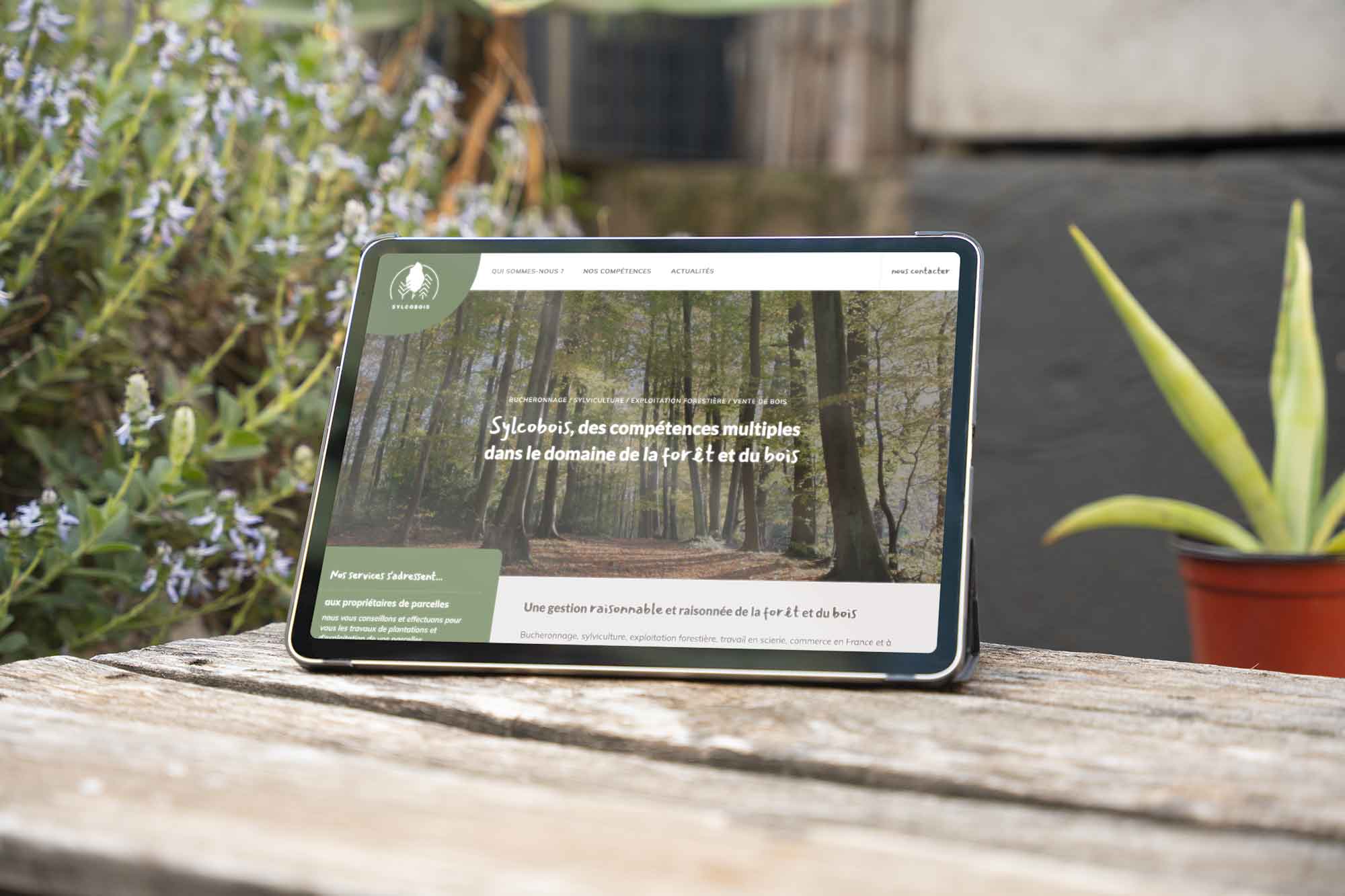 Page d'accueil du site internet conçu pour Sylcobois par emergence graphique