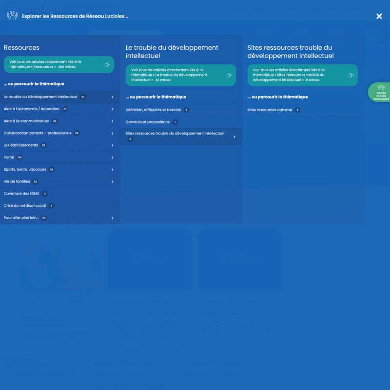 Menu principal listant les ressources du site Réseau Lucioles intégré par emergence graphique