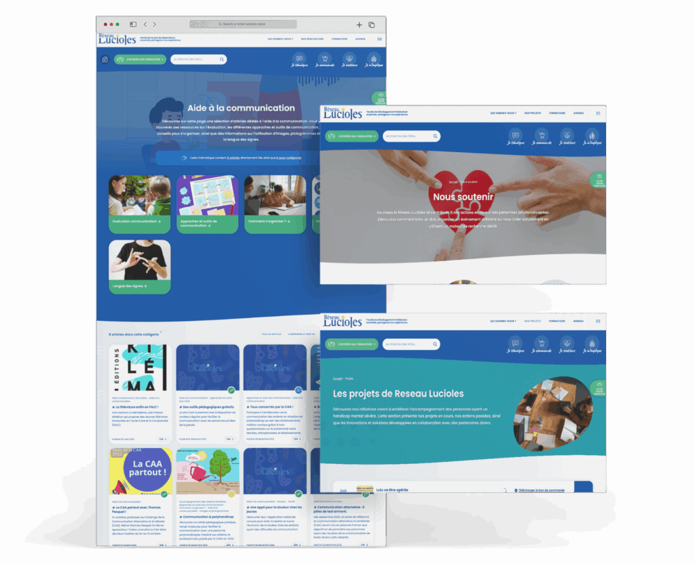Présentation de la charte web du site Réseau Lucioles réalisé pour une association située à Lyon